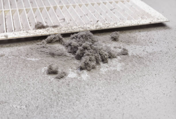 Best Air Duct Cleaning Company Near Me  in Ocean City, FL